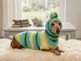 Set sweater and hat for dogs, sweater and hat for dachshunds, clothes for dogs, clothes for dachshunds