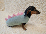 Knitted Dinosaur Costume for Dogs - Custom Dachshund Sweater ия)
