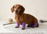 Leggings for dog cat set 4 pieces, leggings for dog,dog gaiters