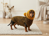 Hooded Dog pet Sweater, Sweater with hood for dachshund or small dog, sweatshirt knitted for dog