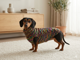 Knitted jumper for small dogs, sweater for small dachshund, sweater for chihuahua, sweater for yorkshire terrier, sweater for toy terrier