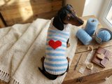 Sweater with hearts, wool sweatshirt for dog, hoodie for dachshund with heart