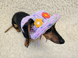 Crochet Dog Sun Hat with Flower Appliqué - Handmade Dachshund Bucket Hat - Floral Pet Summer Accessory - Cute Dog Bonnet with Ear Holes