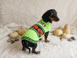 Dog costumes boo pumpkin sweater, dog costumes for halloween, pumpkin halloween costumes for pets, puppies, cat and dog sweater halloween