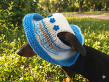 Rainbow panama hat with flowers for a dog, Summer hat for a dog with flowers, summer hat with flowers for a dachshund or small dog