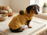 Alpaca winter coat for pets, hoodie for dogs, cardigan for dachshunds