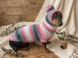 Wiener costume sweater and hat, Doxie sweater and hat set, clothes for small dog of dachshund