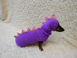 Hand-Knitted Dinosaur Dog Costume for Small Dogs and Dachshunds