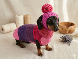 Knitted dog costume set sweater and hat, mini dachshund sweater and hat,suit set sweater and hat for dog,wiener sweater and hat