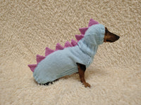 Dachshund Halloween Dinosaur Outfit Costume Sweater and Hat