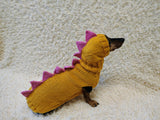 Dino-Themed Dog Sweater Set – Unique Handmade Pet Outfit