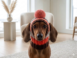Comfort-Fit Knitted Dog Snood for Dachshunds - Soft Ribbed Dog Hat with Pom-Pom - Stay-On Winter Headwear for Long-Haired & Smooth Doxies