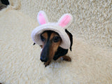 Easter bunny Dog Bucket Hat, summer panama cap with open ears dachshund, pet clothes photo shoot gift dog's mom