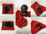 Dachshund Dog Blanket,Red Pet Mat, Plush Boucle Puppy Throw, Cozy Small Dog Bed Cover, Handmade Dog Gift,