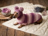 Dachshund costume sweater and hat with two pompoms