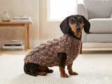 Wool aran sweater for mini dachshund or small dog, dachshund puppy sweater, terrier sweater, small dog sweater