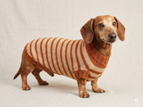Clothing for dachshunds brown striped sweater for dachshunds