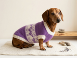 Clothing for dachshund butterflies knitted sweater
