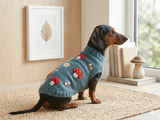 Halloween costume sweater with fly agaric mushrooms and bees for dog