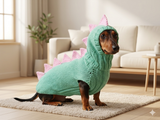 Dinosaur Dachshund Sweater with Hat  Knitted Dog Costume for Wieners