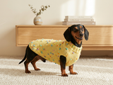 Jumper with flowers for a mini dachshund,Sweater with flowers and butterflies for miniature dachshund or small dog.