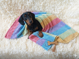 Dachshund Dog Blanket, Soft Pet Mat, Plush Boucle Puppy Throw, Cozy Small Dog Bed Cover, Handmade Dog Gift,