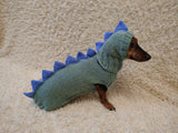 Crocheted Dinosaur Dog Costume – Funny Pet Sweater with Spikes