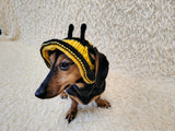 Bee Dog Bucket Hat, summer panama cap with open ears dachshund, pet clothes photo shoot gift dog's mom