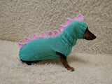 Dinosaur Dachshund Sweater with Hat  Knitted Dog Costume for Wieners