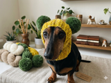 Winter wool melange aran hat for dog with two large pompoms
