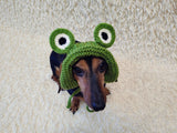 Frog Dog Bucket Hat, summer panama cap with open ears dachshund, pet clothes photo shoot gift dog's mom