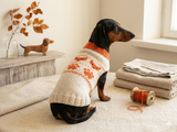 Clothes for a dachshund or small dog knitted winter wool warm jumper with a pattern