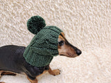 Warm hat for dog or cat, hat for a dog, hat for small dog, hat for dachshund, knitted hat, warm ears of dog