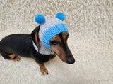 Double Pom Pom Dog Hat — Warm Wool Blend Winter Accessory