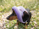 Purple Panama for dog, summer clothes dog headwear, dog hat