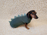 Cozy Dinosaur Dog Jumper – Unique Pet Gift for Small Dogs
