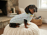 Handmade Cable Knit Dachshund Sweater | Warm Dog Clothes