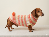 Knitted clothes dachshund sweater with pompom, dachshund clothes, dachshund sweater, doxie clothes