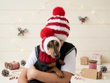 Matching Christmas Striped Dog and Owner Beanie Set: Wool Blend Knit