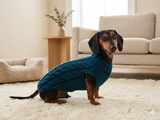 Christmas sweater with stars for dog