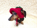 Strawberry Panama Dog Hat Summer Open Ear Hat for Dachshund Pet Clothes Photo Shoot Gift for Dog Mom