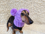 Hat for dog with two pompons, hat for dachshund with two pompons