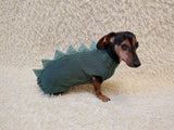 Cozy Dinosaur Dog Jumper – Unique Pet Gift for Small Dogs