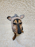 Knitted Donkey Snood Hat for Dachshund - Handmade Dog Costume with Ears and Mane
