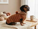 Warm Wool Stylish Clothes Pet Coat, Dog Hoodie, Dachshund Hooded Sweaters, Clothing for dachshund or small dog with sweater with hoodie
