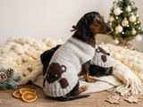 Bear sweater for dog