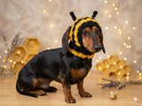 Knitted bee cap for small dog with handmade pompoms