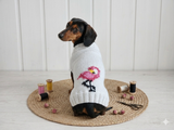 Clothes for a dachshund or small dog knitted winter wool warm jumper with a pattern