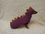 Custom Dinosaur Dog Hoodie Sweater – Cozy Handmade Pet Clothing
