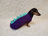 Knitted Dinosaur Costume for Dogs - Custom Dachshund Sweater